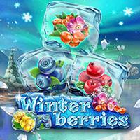  Winterberries
